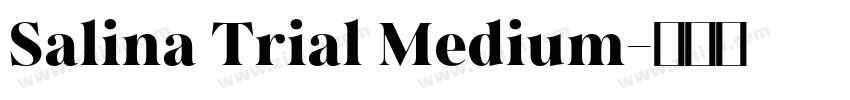 Salina Trial Medium字体转换
